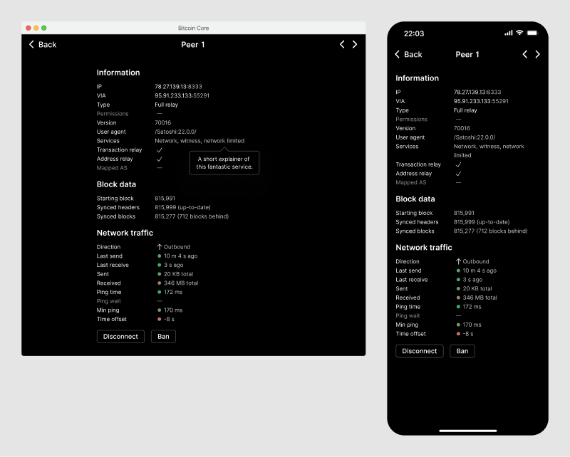 Application screen showing detailed information about a single connected peer