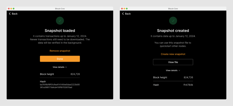 Two screens showing completed snapshot import and generation